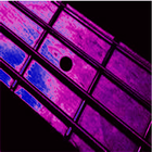Bass Lessons icon