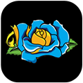 Blue Rose Tattoo & Piercing