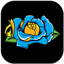 Blue Rose Tattoo & Piercing aplikacja