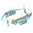 Elite Gymnastics Club by AYN