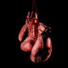 Boxing Scorecard icône