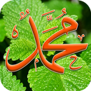 وصايا الرسول لأمته كاملة APK