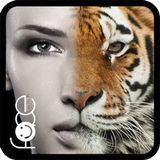 face switch icon