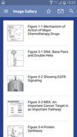 Oncology Nursing Drug Handbook 截圖 2