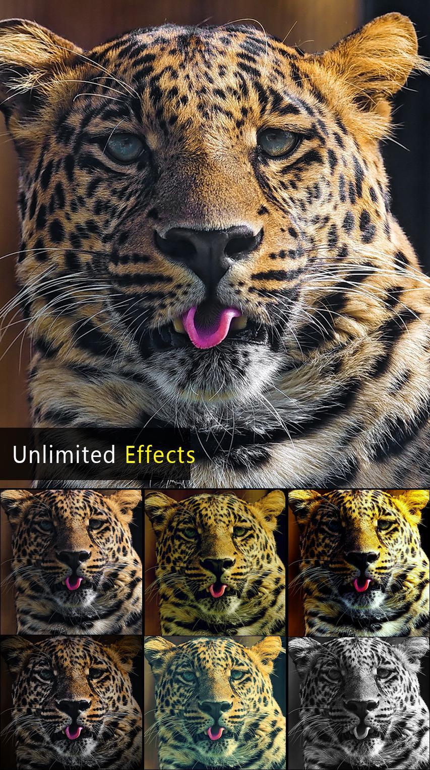  HD Photo Editor  for Android APK Download