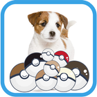 Pocket DOG Go icon