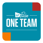 Virgin Pulse One Team 2017 icône