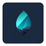 Branchout icon