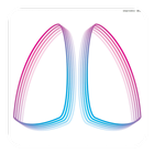 AIR 2017 icon