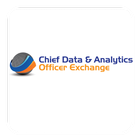 Icona Chief Data Analytics Off. Ex.