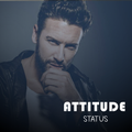 Attitude Status