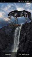 Horse at the waterfall live wp Affiche