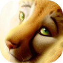 Cute leopard live wallpaper APK