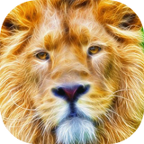 Sparkling lion live wallpaper ikona