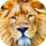 Sparkling lion live wallpaper icon