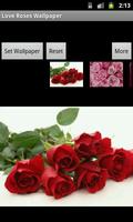 Love Roses Wallpaper Plakat
