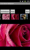 Love Roses Wallpaper स्क्रीनशॉट 2