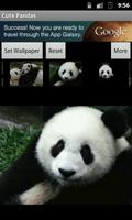 Cute Pandas wallpaper captura de pantalla 3
