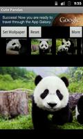 Cute Pandas wallpaper captura de pantalla 1