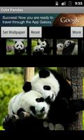 Cute Pandas wallpaper captura de pantalla 2