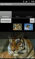Tiger Wallpaper captura de pantalla 1