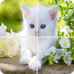 PicSlide APK