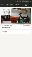 Lloyds of Lakeland Auction poster