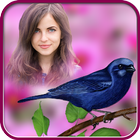 Bird Photo Frame 圖標