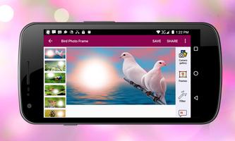 Bird Photo Frame 截圖 2