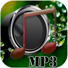 Mast Mp3 Player icône
