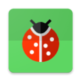 Ladybug on Screen иконка