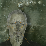 Bamboo Turtle Studio