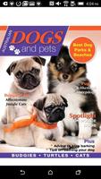 Australian Dogs & Pets Cartaz