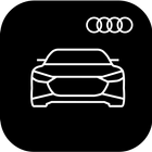 Audi pool icon