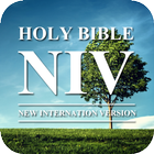 Audio Bible NIV Free أيقونة