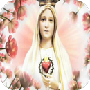Images of the Virgin of Fatima APK