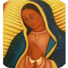 Virgen De Guadalupe Ven Y Salvame-icoon