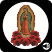 Oracion A Nuestra Virgen De Guadalupe