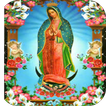 Virgen De Guadalupe Te Amo