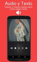 Oracion a Nuestra Señora de la Dulce espera Audio ảnh chụp màn hình 1