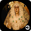 Oracion a Nuestra Señora de la Macarena con Audio APK