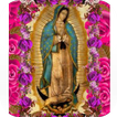 Mi Virgen de Guadalupe