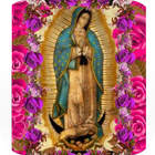 Mi Virgen de Guadalupe أيقونة