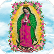 Milagrosa Virgen De Guadalupe