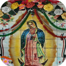 Virgen De Guadalupe Vida APK