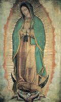 Virgen De Guadalupe Vida capture d'écran 1
