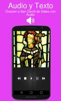 Oracion a San David de Gales con Audio capture d'écran 1