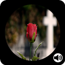 Oracion visita al cementerio con Audio APK