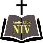 Audio Bible NIV ไอคอน