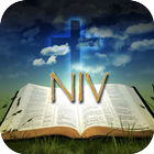 Audio Bible (NIV) ícone